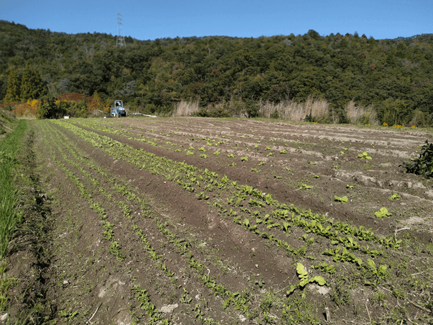 大自然に囲まれたあしたのもり