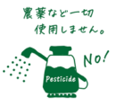 農薬不使用