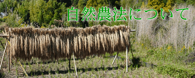 自然農法とは