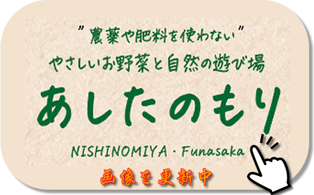 やさしいお野菜と自然の遊び場
