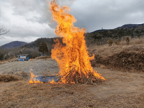 焚火